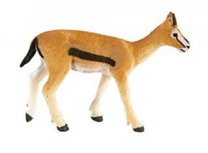 Safari Ltd. : SFR227029 โมเดลสัตว์ Thomson's Gazelle 1
