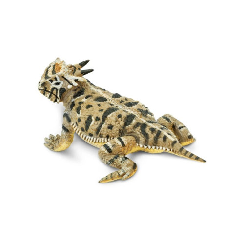 Safari Ltd. : SFR156605* โมเดลสัตว์ Horned Lizard