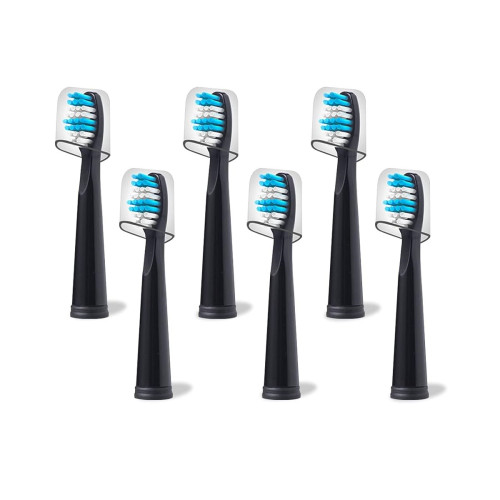 Mullburry : MBRAMZ001* อะหลั่ยหัวแปรงสีฟัน Replacement Toothbrush Heads Compatible 6pk. 1