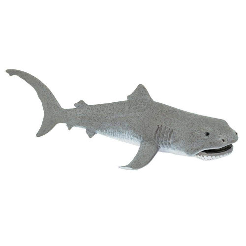 Safari Ltd. : SFR201029* โมเดลสัตว์ Megamouth Shark