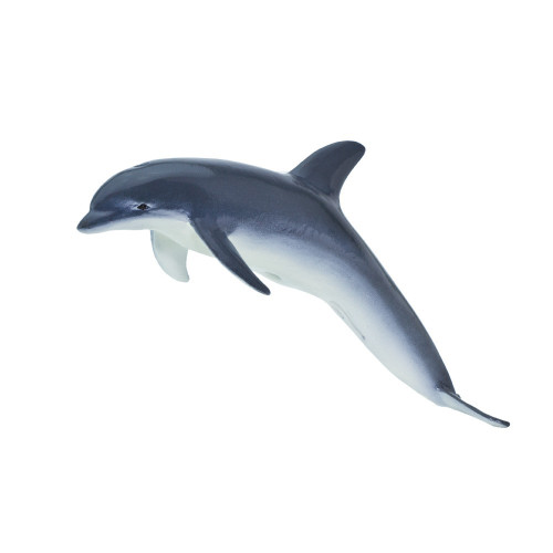 Safari Ltd. : SFR210802 โมเดลสัตว์ Monterey Bay Bottlenose Dolphin Adult