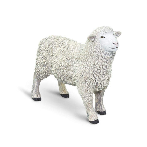 Safari Ltd. : SFR162429* โมเดลสัตว์ Sheep