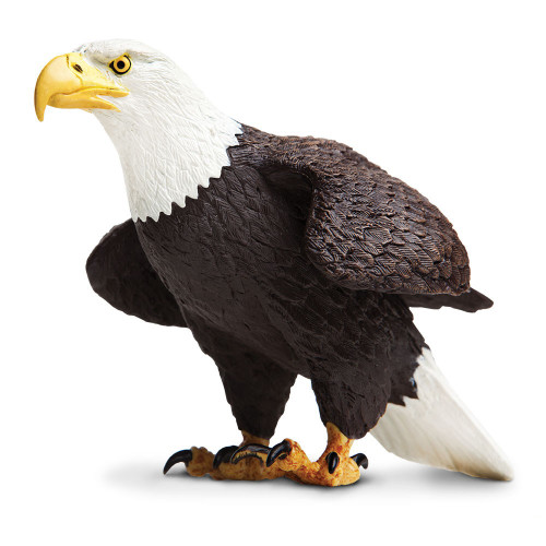 Safari Ltd. : SFR251029 โมเดลสัตว์ Bald Eagle