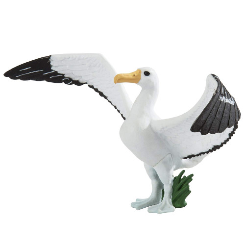 Safari Ltd. : SFR150729* โมเดลสัตว์ Giant Albatross