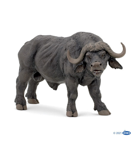PAPO : PPO50114* โมเดล African Buffalo