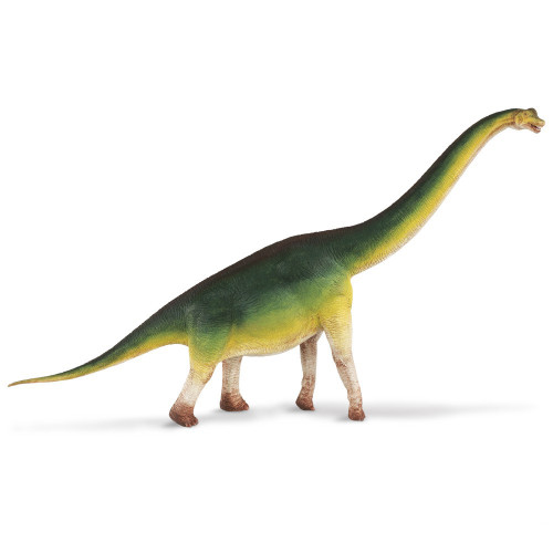 Safari Ltd. : SFR300229 โมเดลไดโนเสาร์ Brachiosaurus