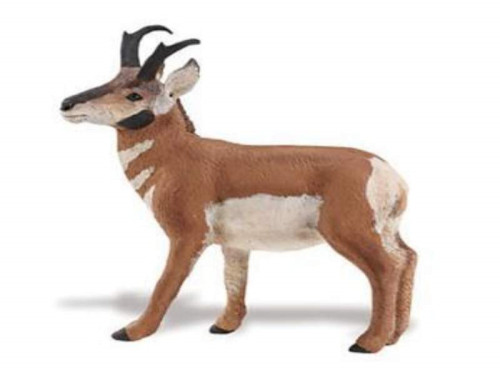 Safari Ltd. : SFR284729* โมเดลสัตว์ Pronghorn Buck