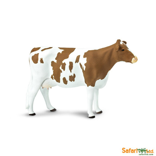 Safari Ltd. : SFR162129 โมเดลวัว Ayrshire Cow