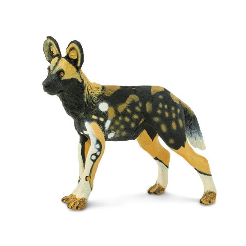 Safari Ltd. : SFR239729* โมเดลสัตว์ African Wild Dog