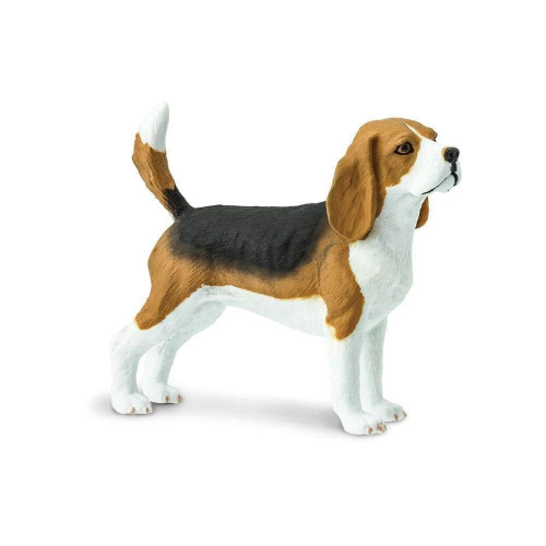 Safari Ltd. : SFR254929* โมเดลสุนัข Beagle