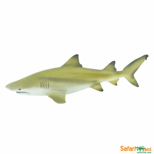Safari Ltd. : SFR100097 โมเดล Lemon Shark