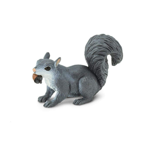 Safari Ltd. : SFR296129* โมเดลสัตว์ Gray Squirrel