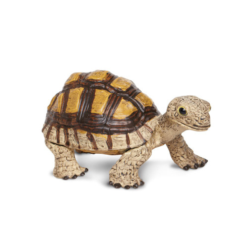 Safari Ltd. : SFR258629 โมเดลเต่า Tortoise