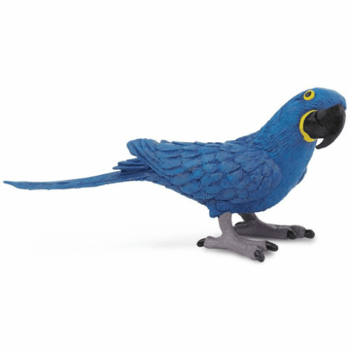 Safari Ltd. : SFR264229 โมเดลสัตว์ Hyacinth Macaw