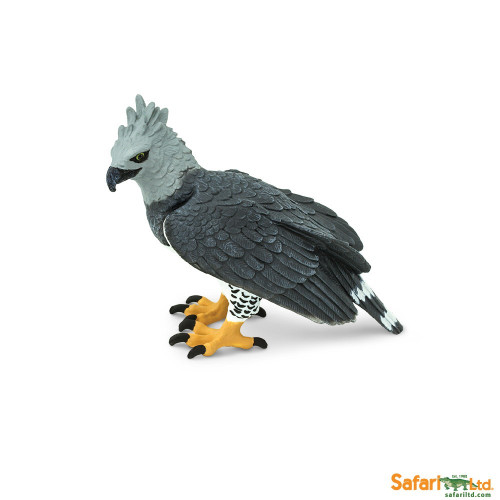Safari Ltd. : SFR150929 โมเดลนกอินทรีฮาร์ปี Harpy Eagle