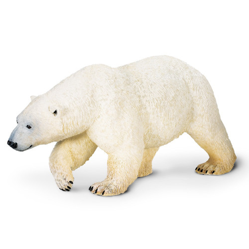 Safari Ltd. : SFR111689 โมเดลหมีขั้วโลก Polar Bear