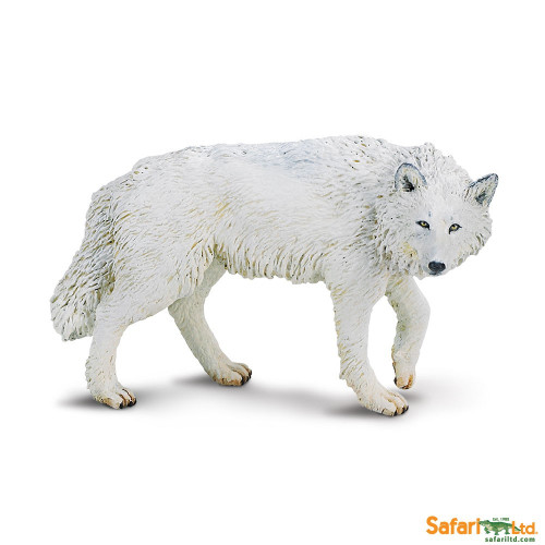 Safari Ltd. : SFR220029 โมเดลหมาป่าแห่งอาร์กติก White Wolf