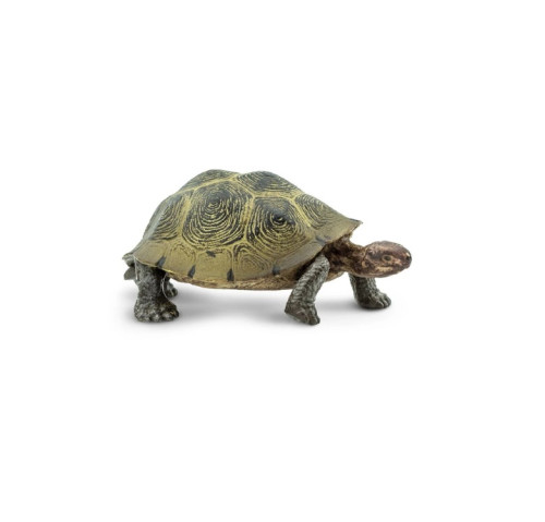 Safari Ltd. : SFR295329* โมเดลสัตว์ Desert Tortoise