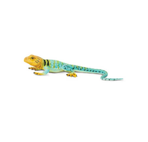 Safari Ltd. : SFR271029* โมเดลสัตว์ Collared Lizard