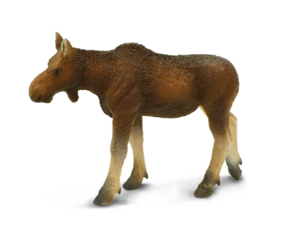 Safari Ltd. : SFR180829* โมเดลสัตว์ Cow Moose