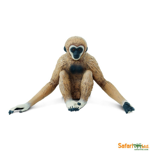 Safari Ltd. : SFR228329 โมเดลชะนี Gibbon
