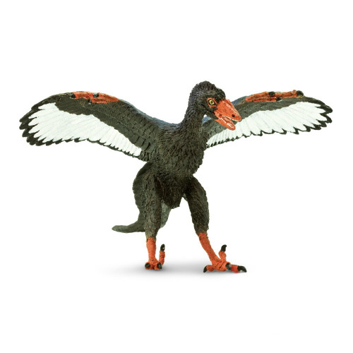 Safari Ltd. : SFR302829 โมเดลสัตว์ Archaeopteryx