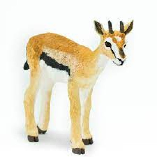 Safari Ltd. : SFR227029 โมเดลสัตว์ Thomson's Gazelle 2
