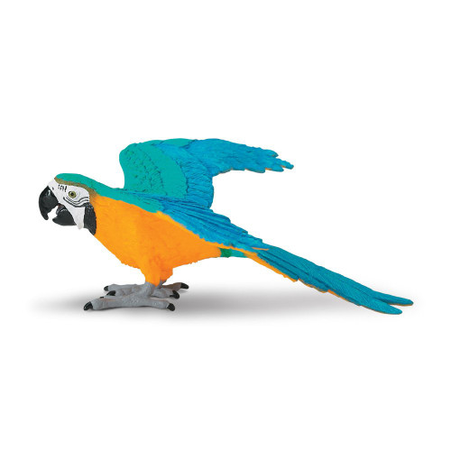 Safari Ltd. : SFR264029 โมเดลสัตว์ Blue & Gold Macaw