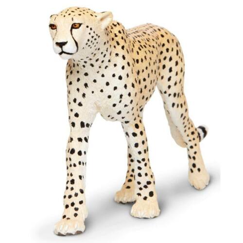 Safari Ltd. : SFR112889 โมเดลเสือชีต้าร์ Cheetah