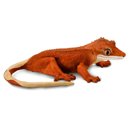 Safari Ltd. : SFR100344* โมเดลสัตว์ Crested Gecko