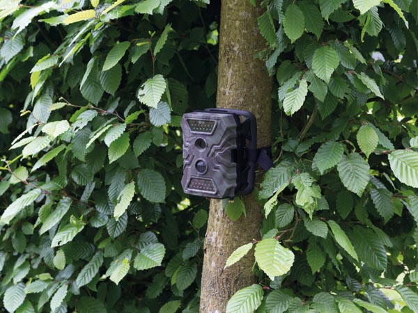 กล้องดักถ่ายภาพสัตว์ป่า Velleman รุ่น CAMCOLVC26 1