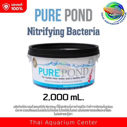 Pure Pond แบคทีเรีย ที่มีชีวิตในเม็ดเจล ช่วยบำบัดน้ำ ระบบกรองน้ำบ่อปลา Nitrifying Bacteria ขนาด 2000