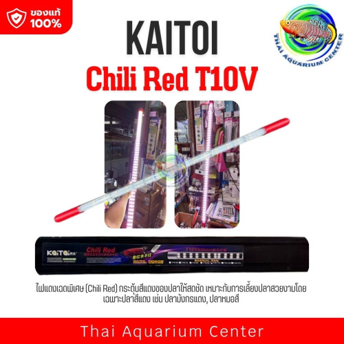 KAITOI Chili Red T10V (ขนาด 113 ซม.) ไฟเลี้ยงปลาสีแดงเฉดพิเศษ – ขับสีแดงปลาให้สดจัดกว่าเดิม!