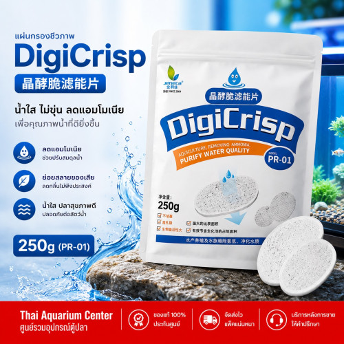 Jeneca DigiCrisp PR-01 แผ่นกรองชีวภาพ ตัวช่วยเพิ่มพื้นที่แบคทีเรียดี 