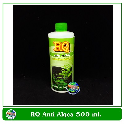 RQ Anti Algae อาร์คิว แอนตี้ แอลจี กำจัดตะไคร่น้ำเขียว 500 ml.