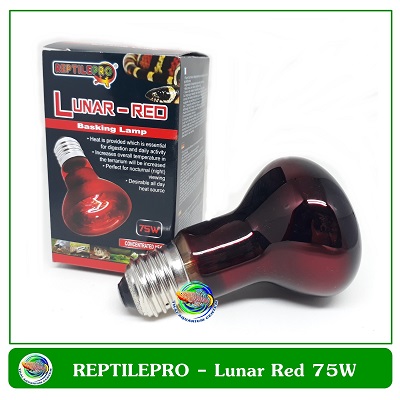 REPTILEPRO Lunar-Red Basking Lamp 75W