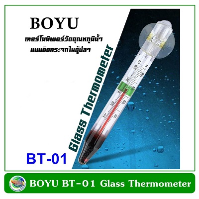 Boyu Thermometer BT-01 / BT-02 1