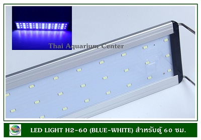 โคมไฟ LED สีขาว-ฟ้า H2-60 สำหรับตู้ปลาขนาด 60 ซม.ปรับได้ 3 แบบ
