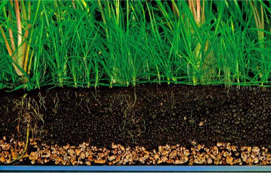 Aqua Soil-Amazonia ดินปลูกไม้น้ำ ขนาด 3 ลิตร 2
