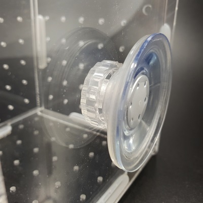 กล่องอคริลิคแยกเลี้ยงปลา กุ้ง ในตู้ปลาใหญ่ แบบจุกยาง ขนาด 1 ช่อง Acrylic Aquarium Fish Tank Box 3