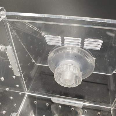 กล่องอคริลิคแยกเลี้ยงปลา กุ้ง ในตู้ปลาใหญ่ แบบจุกยาง ขนาด 2 ช่อง Acrylic Aquarium Fish Tank Box 4