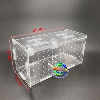 กล่องอคริลิคแยกเลี้ยงปลา กุ้ง ในตู้ปลาใหญ่ แบบจุกยาง ขนาด 2 ช่อง Acrylic Aquarium Fish Tank Box 1