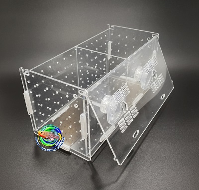 กล่องอคริลิคแยกเลี้ยงปลา กุ้ง ในตู้ปลาใหญ่ แบบจุกยาง ขนาด 2 ช่อง Acrylic Aquarium Fish Tank Box 2