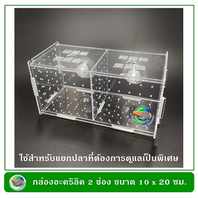 กล่องอคริลิคแยกเลี้ยงปลา กุ้ง ในตู้ปลาใหญ่ แบบจุกยาง ขนาด 2 ช่อง Acrylic Aquarium Fish Tank Box