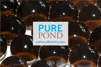Pure Pond 1000 ml. แบคทีเรีย ที่มีชีวิตในเม็ดเจล ช่วยบำบัดน้ำ ระบบกรองน้ำบ่อปลา Nitrifying Bacteria 1