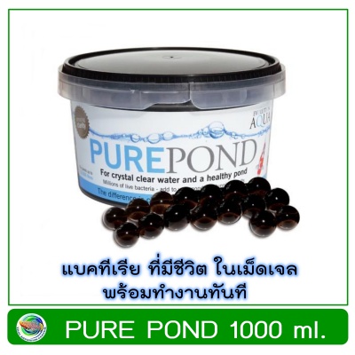 Pure Pond 1000 ml. แบคทีเรีย ที่มีชีวิตในเม็ดเจล ช่วยบำบัดน้ำ ระบบกรองน้ำบ่อปลา Nitrifying Bacteria