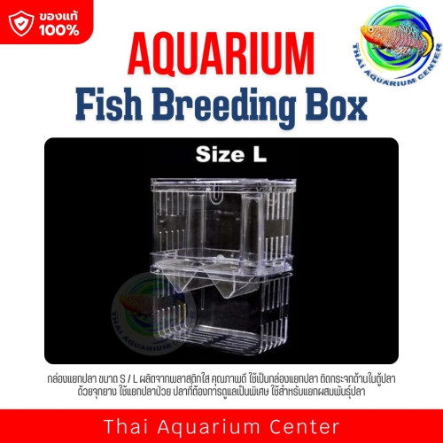 กล่องแยกปลา ขนาด S / L Isolation BOX