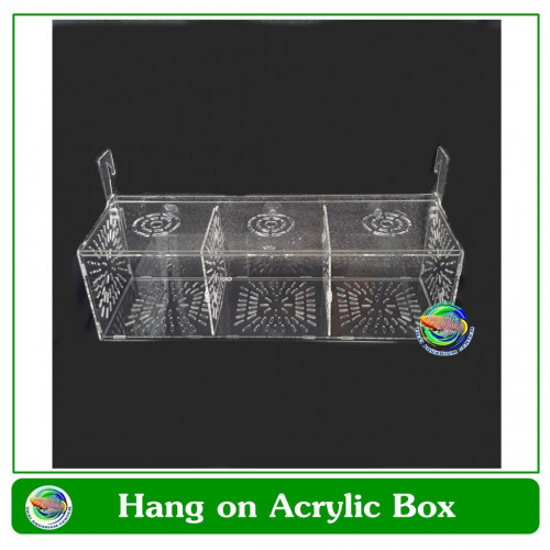  กล่องอคริลิคแยกเลี้ยงปลา กุ้ง ในตู้ปลาใหญ่ แบบแขวน ขนาด 3 ช่อง Acrylic Aquarium Fish Tank Box Hang 