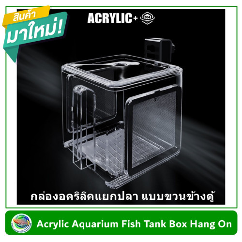 กล่องอคริลิค แยกเลี้ยงปลา กุ้ง ในตู้ปลาใหญ่ แบบแขวน แบบ 1 ช่อง พร้อมตะแกรงสแตนเลส 304  Aquarium Fish