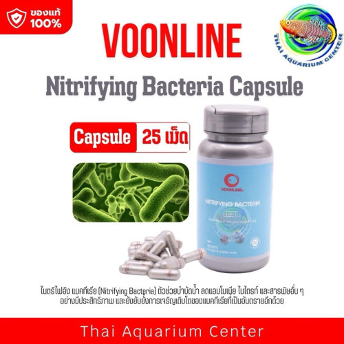 แบคทีเรียไนตริไฟอิง (Nitrifying Bacteria) Voonline เเบบ 25 เเคปซูล